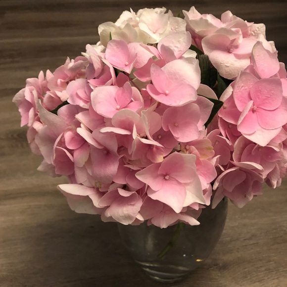 Meet your Posher, Deana - Picture 1 of 1